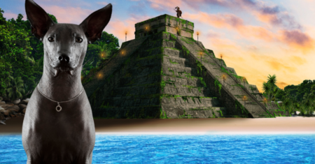 Astecas: Animais que foram domesticados por eles
